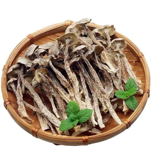 Nấm Lộc Nhung | Dried Pilose Antler Mushroom