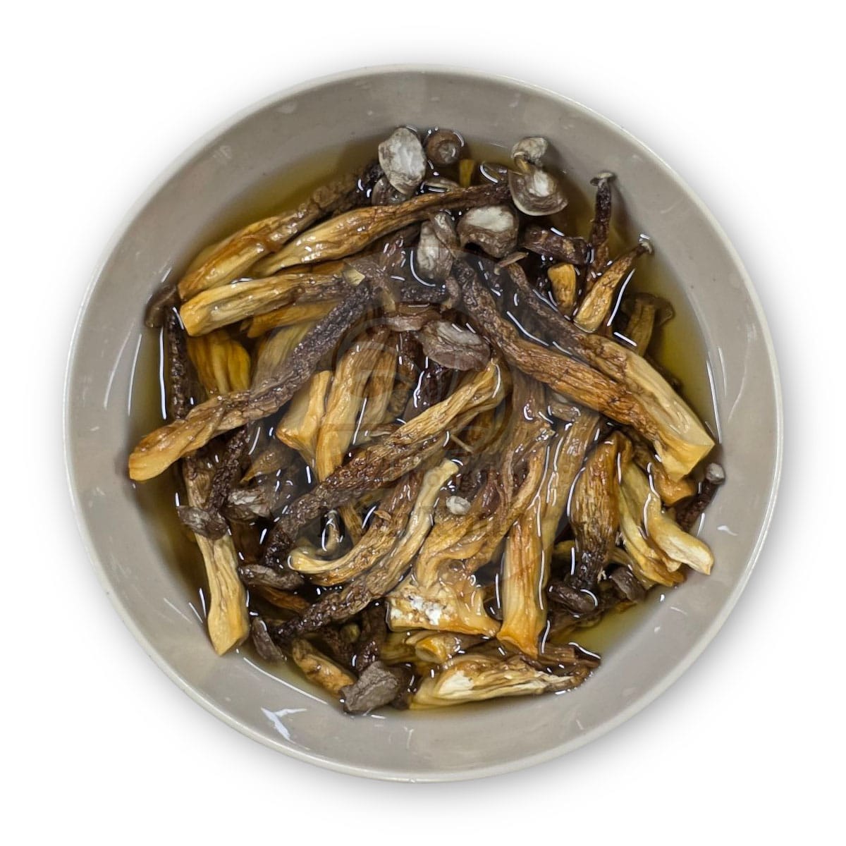 Nấm Lộc Nhung | Dried Pilose Antler Mushroom
