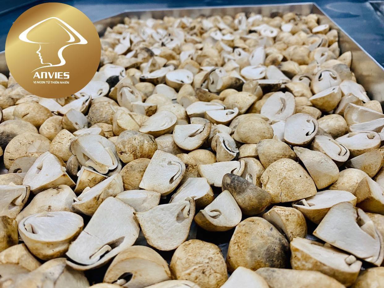 Nấm Rơm Sấy Lạnh | Freeze Dried Straw Mushroom ANVIES