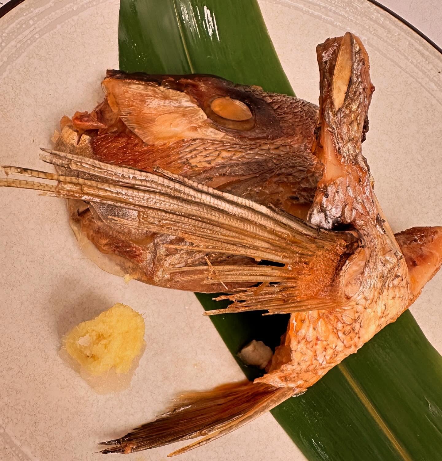 Mang Cá Tráp Đỏ | Red Sea Bream Collar