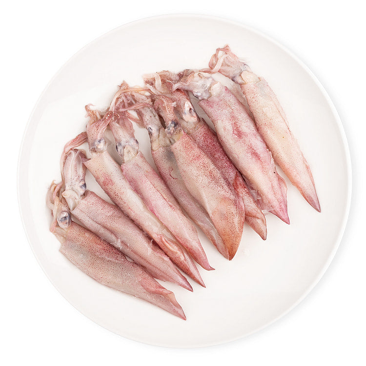 Mực Ống Câu Indo | Frozen Indonesian Squid