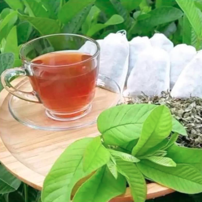 Trà Giảm Cân Lá Ổi | Guava Leaves Diet Tea