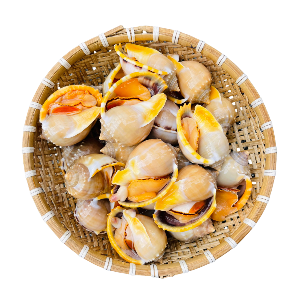 Ốc Tỏi | Cooked Whole Garlic Snail