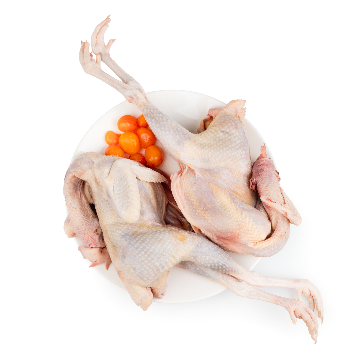 Gà Mái Ôm Trứng | Chicken Confucius Style