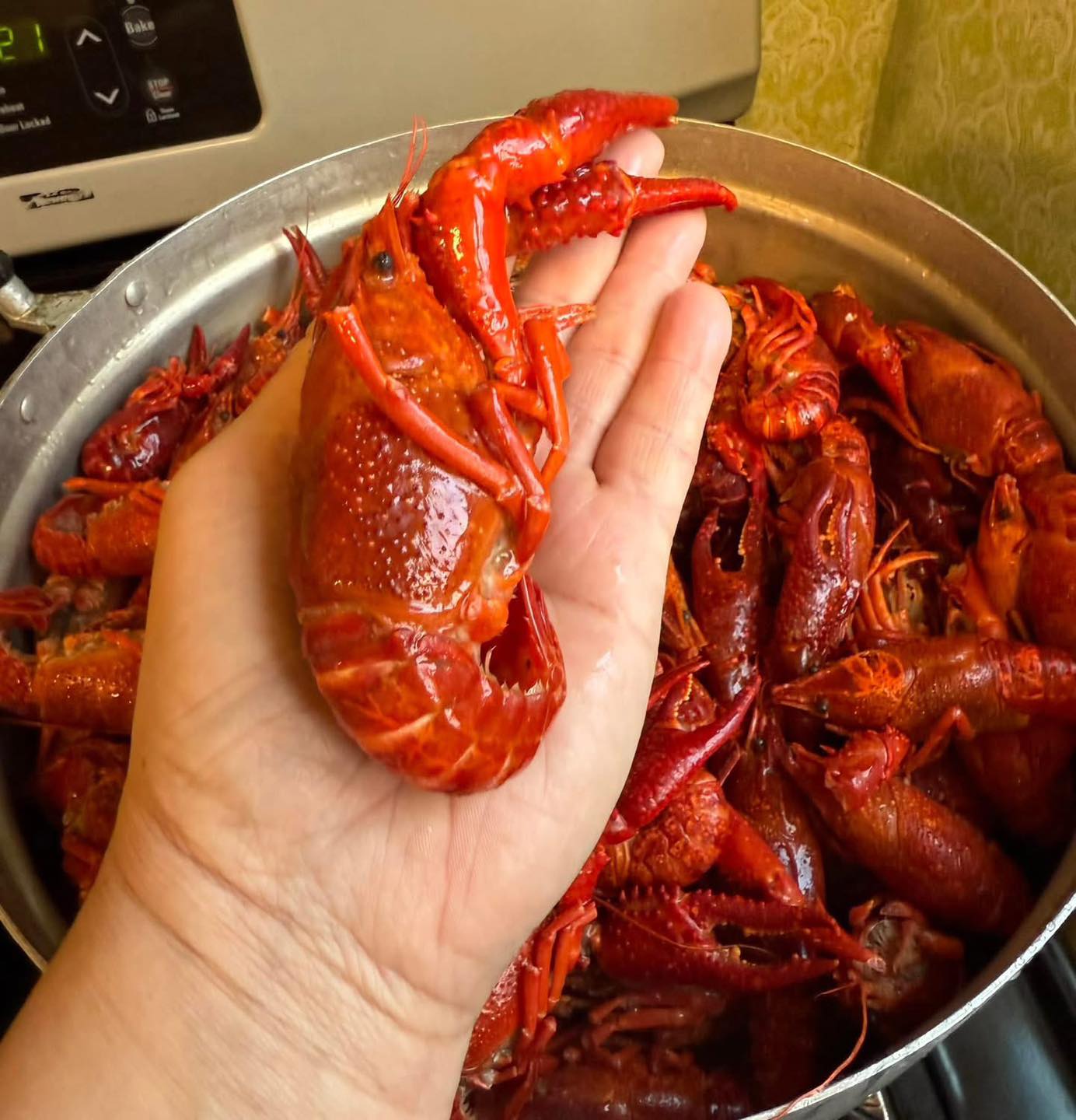 Tôm Hùm Đất | Frozen Crawfish - Tặng 1 Sốt SeaKing