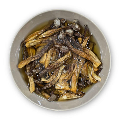 Nấm Lộc Nhung | Dried Pilose Antler Mushroom