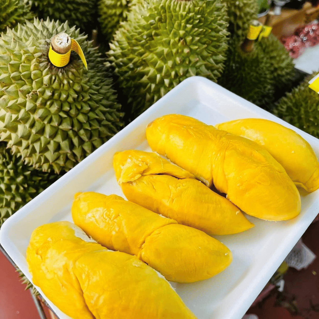 Sầu Riêng Ri6 Mini | Frozen Durian Mini PNCB
