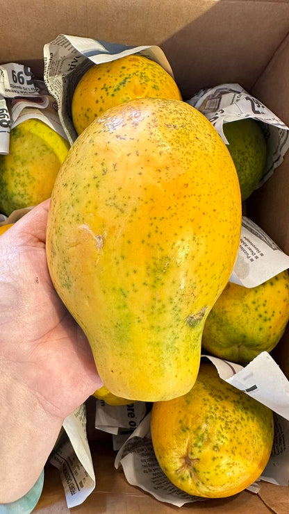 Đu Đủ Hawaii | Hawaii Papaya