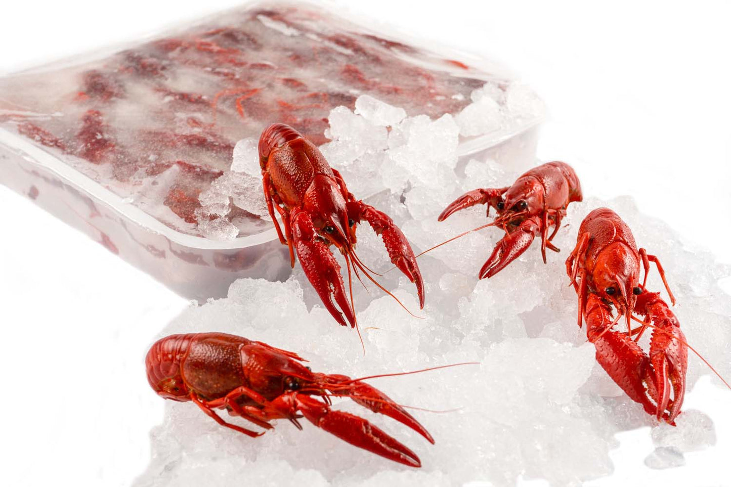 Tôm Hùm Đất | Frozen Crawfish - Tặng 1 Sốt SeaKing