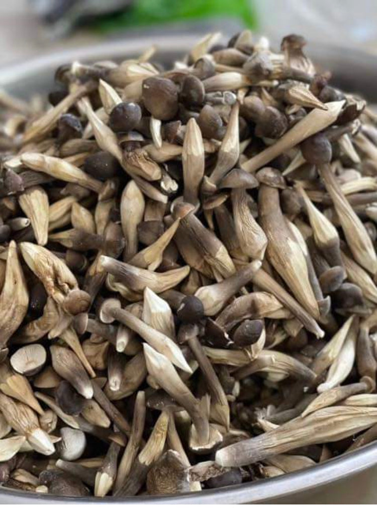 Nấm Mối Đen Sấy Lạnh | Freeze Dried Black Termitomyces Heim ANVIES