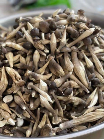 Nấm Mối Đen Sấy Lạnh | Freeze Dried Black Termitomyces Heim ANVIES