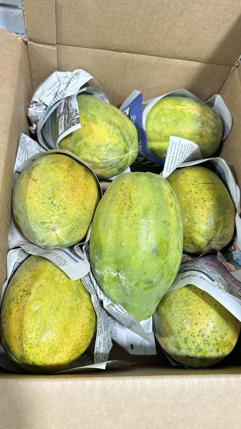 Đu Đủ Hawaii | Hawaii Papaya