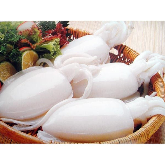 Mực Nang U1 (thùng) | Frozen Cuttle Fish