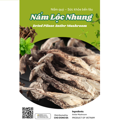 Nấm Lộc Nhung | Dried Pilose Antler Mushroom