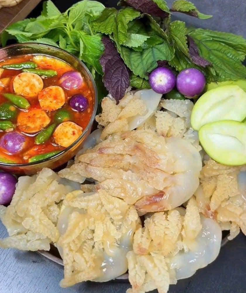 Sứa Chân Mèo | Jellyfish
