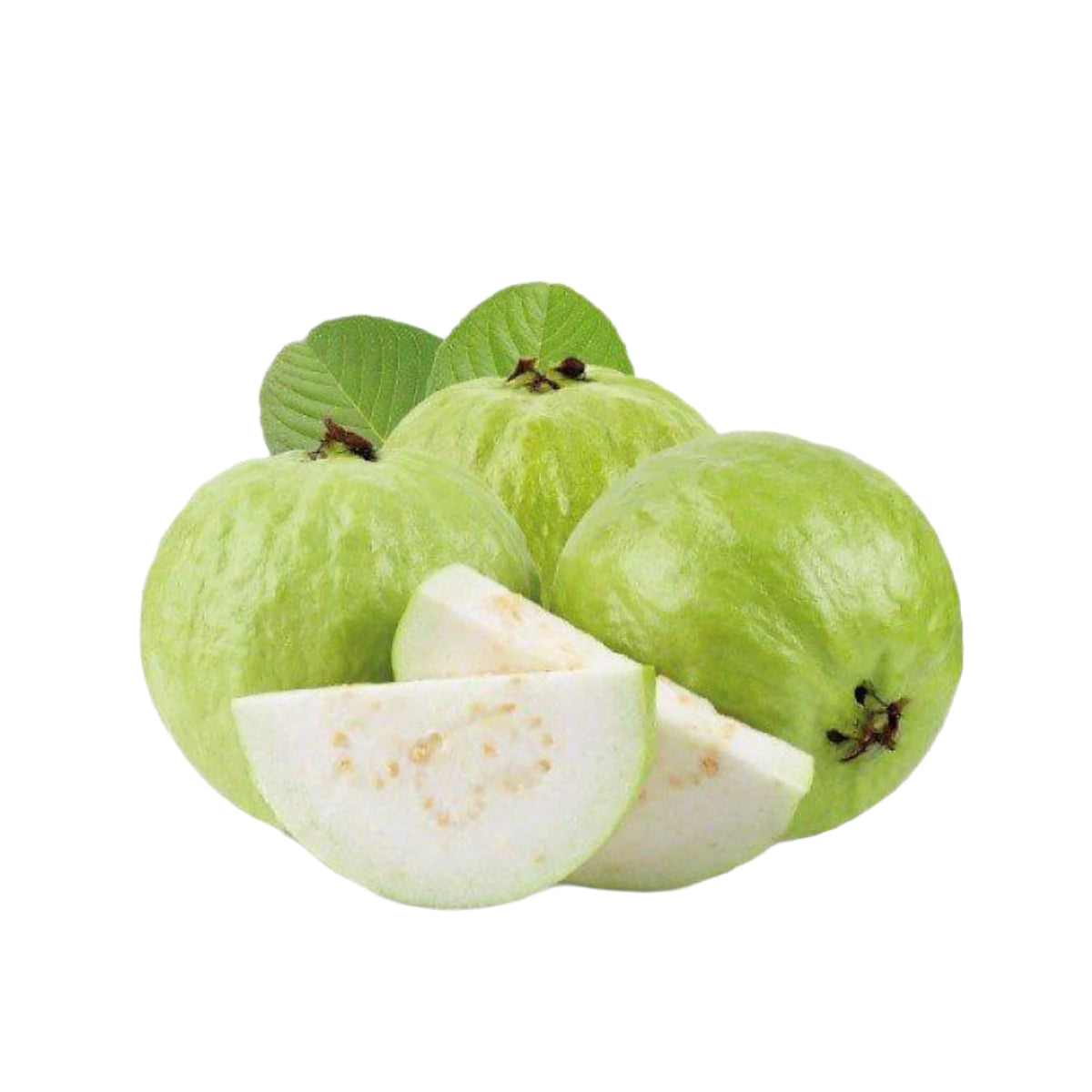 Ổi Ruột Trắng | Fresh Guava
