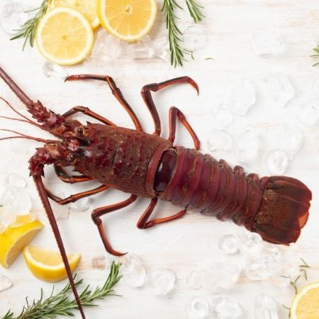 Tôm Hùm Cali | Cali's Lobster