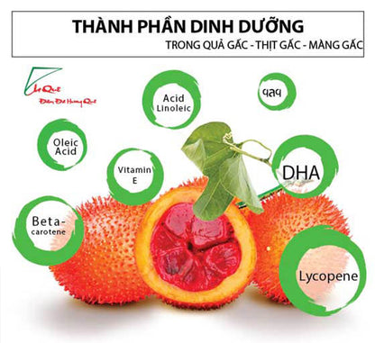 Bột Gấc Khô Nguyên Chất | Dried Gac Fruit Powder