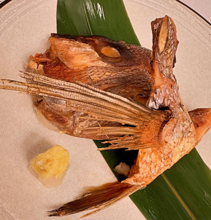 Mang Cá Tráp Đỏ | Red Sea Bream Collar