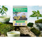 Chè Truồi Ấn Lĩnh | Bancha Green Tea