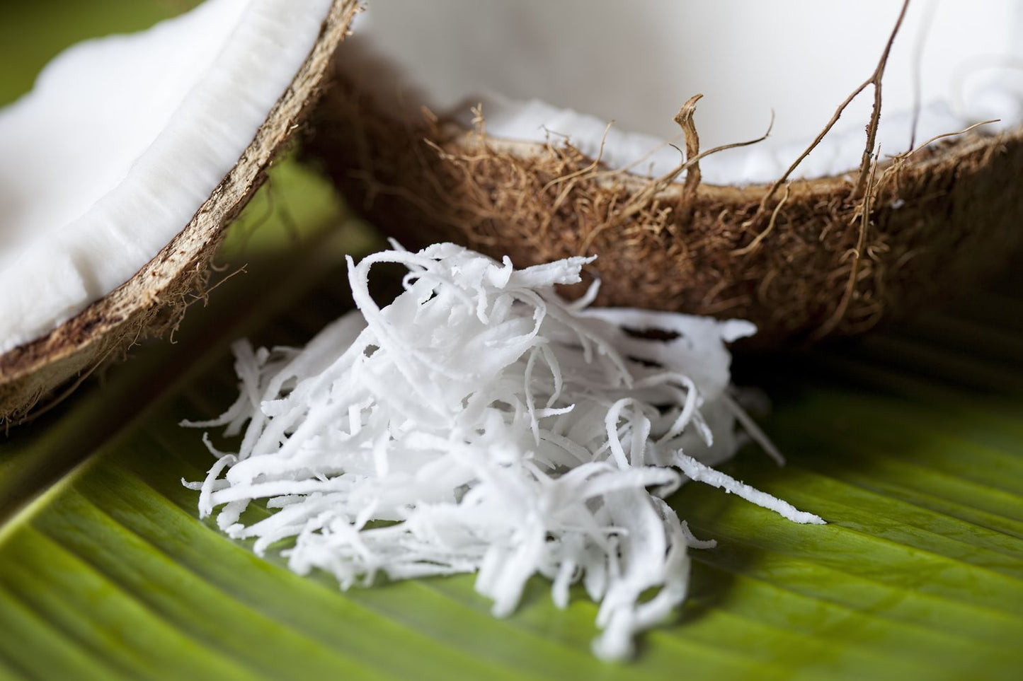 Dừa Non Sợi | Shredded Young Coconut