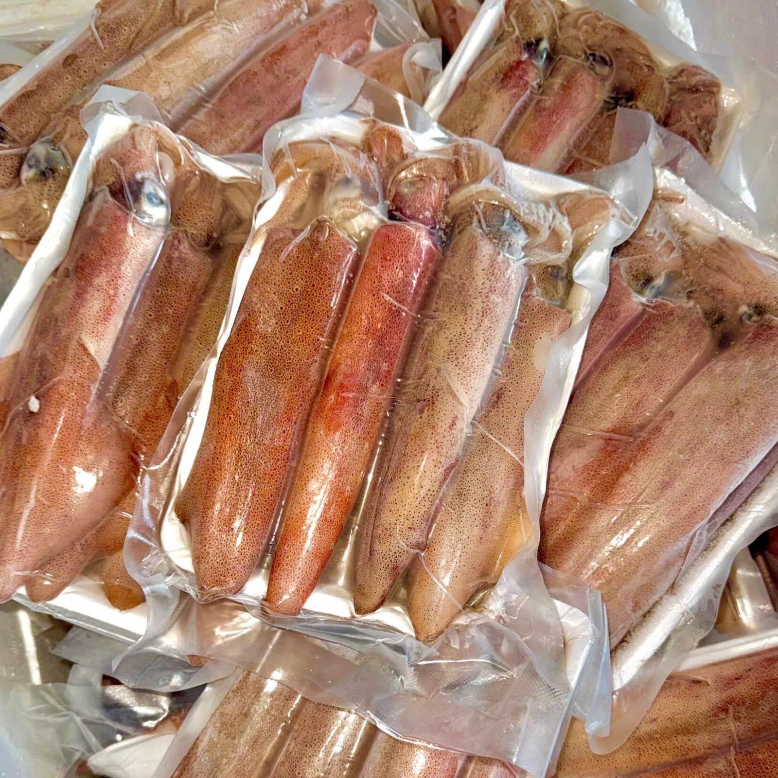 Mực Nháy Việt Nam | Vietnamese Frozen Squid