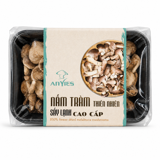 Nấm Tràm Sấy Lạnh | Freeze Dried Melaleuca Mushrooms ANVIES