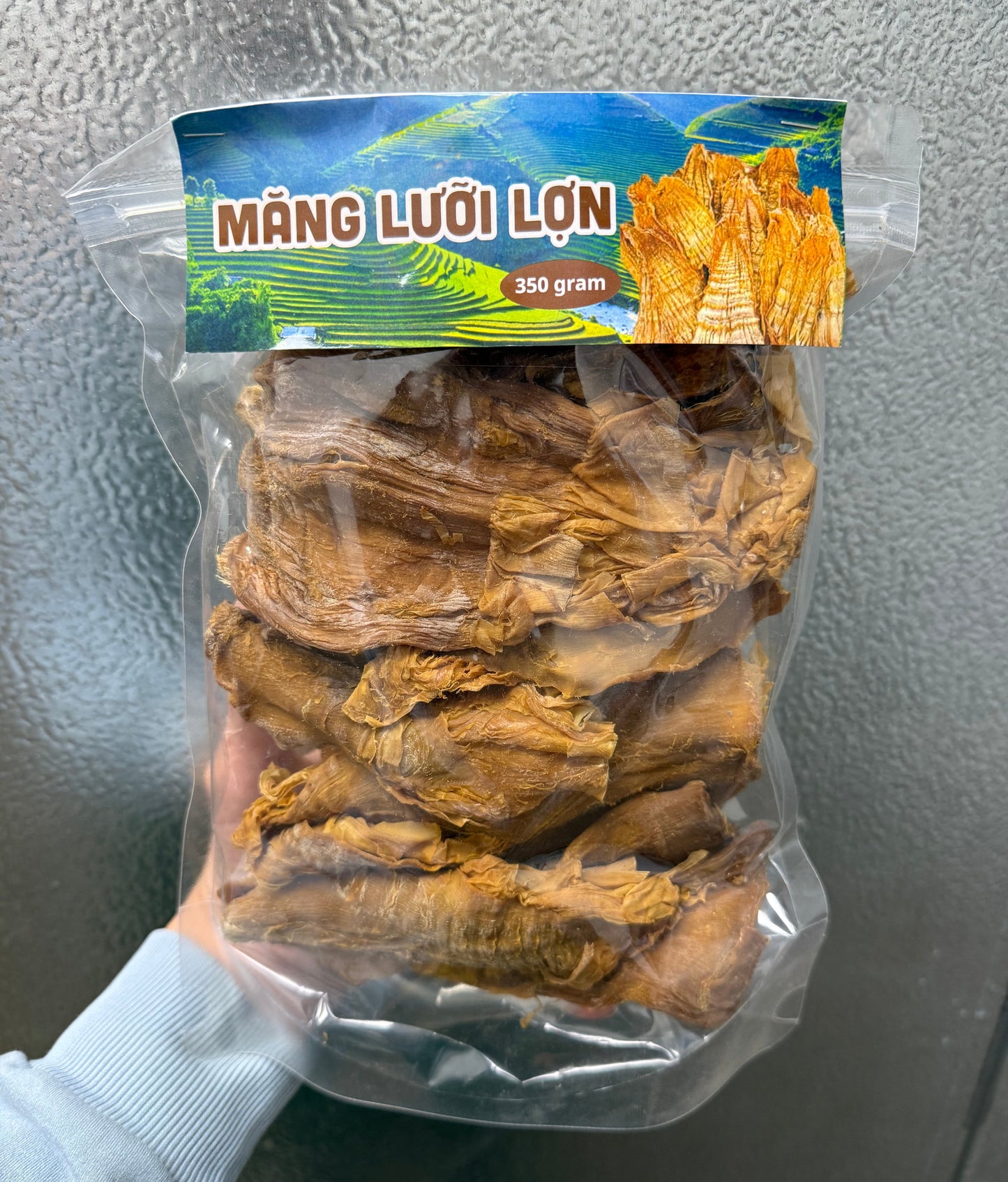 Măng Lưỡi Lợn