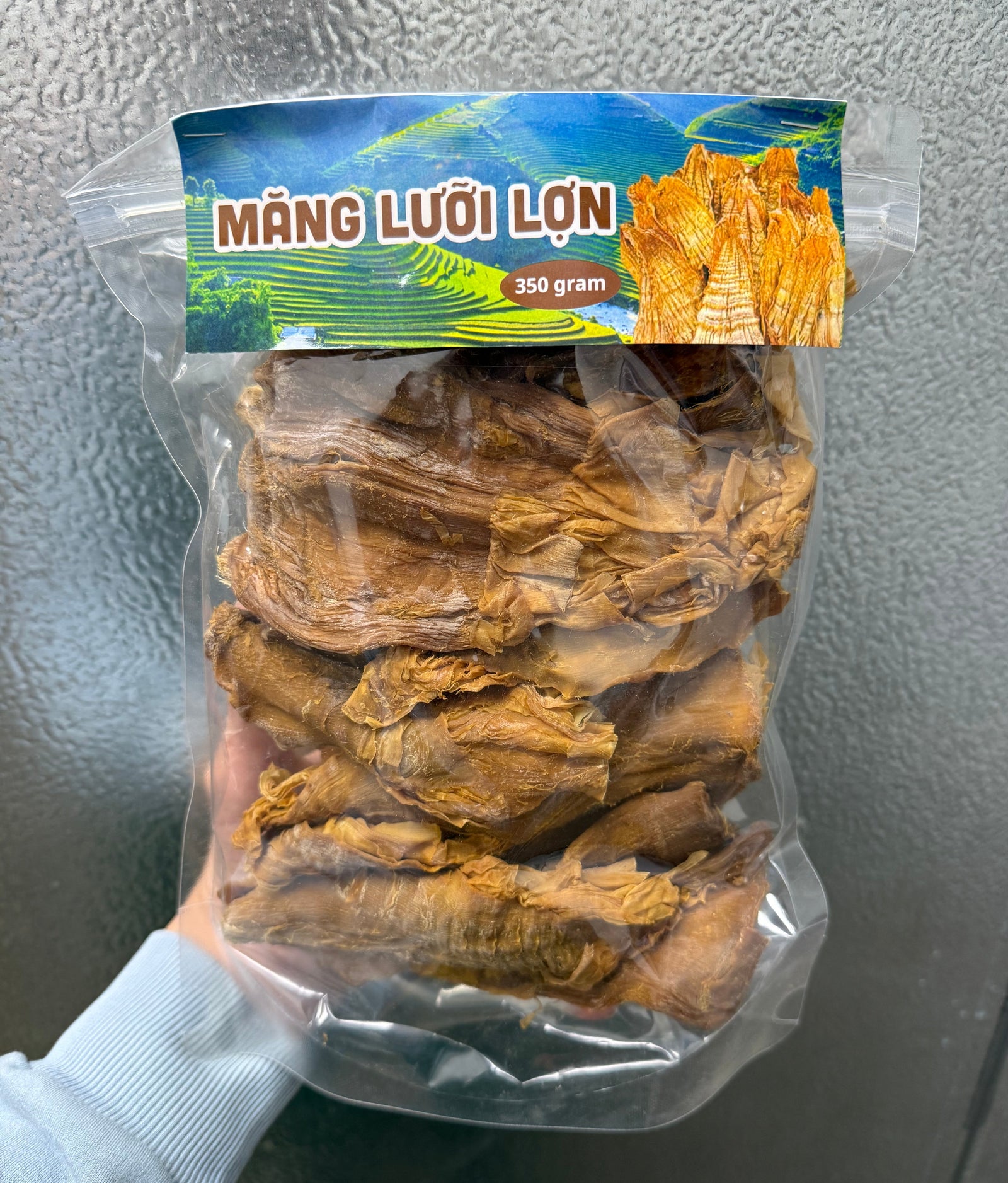 Măng Lưỡi Lợn