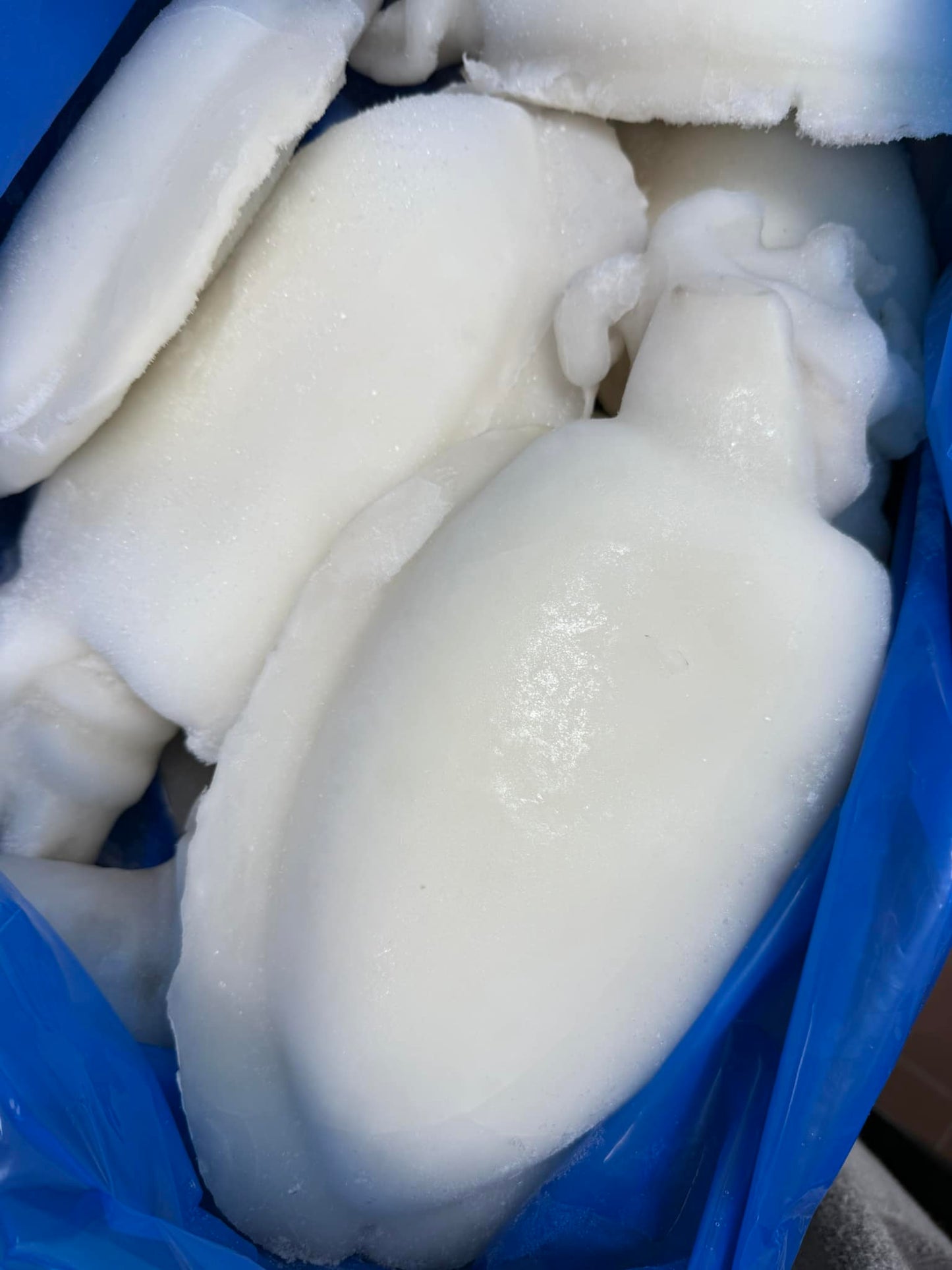 Mực Nang U1 (thùng) | Frozen Cuttle Fish