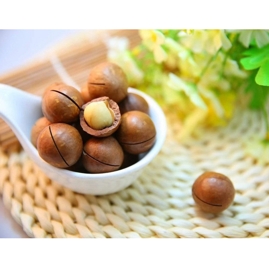Hạt Macca Delight | Vietnamese Maccadamia Nuts