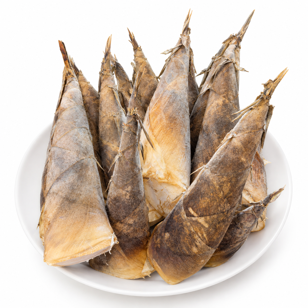 Măng Đen Tươi | Fresh Bamboo Shoots