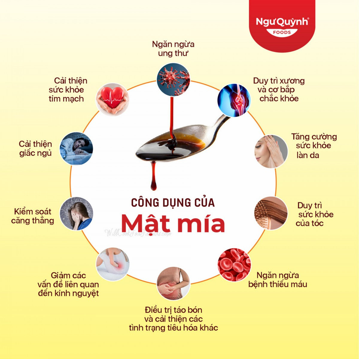 Mật Mía | Molasses