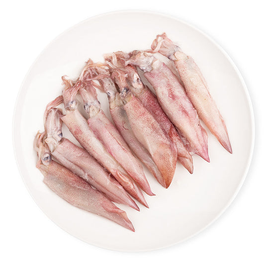 Mực Ống Câu Indo | Frozen Indonesian Squid