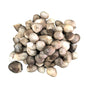 Nấm Rơm Tươi Đông Lạnh | Frozen Straw Mushroom