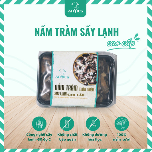 Nấm Tràm Sấy Lạnh | Freeze Dried Melaleuca Mushrooms ANVIES