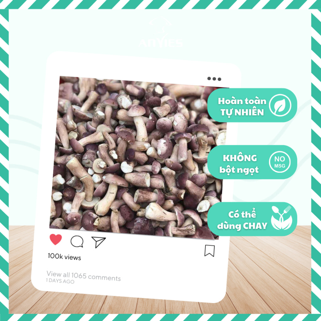 Nấm Tràm Sấy Lạnh | Freeze Dried Melaleuca Mushrooms ANVIES