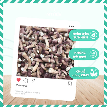 Nấm Tràm Sấy Lạnh | Freeze Dried Melaleuca Mushrooms ANVIES