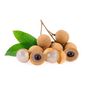 Nhãn Florida Có Cành-5 Lbs | Florida Longan