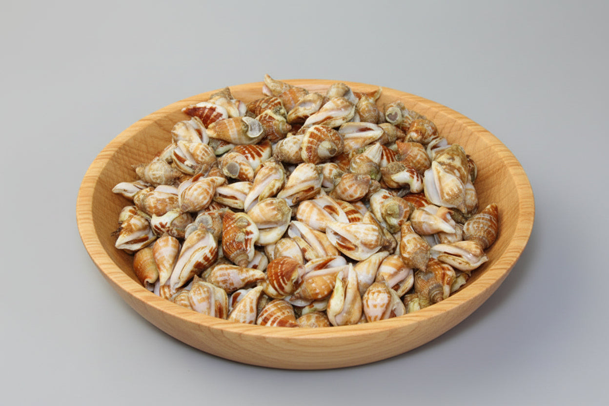 Ốc Nhảy | Frozen Whelk Snail
