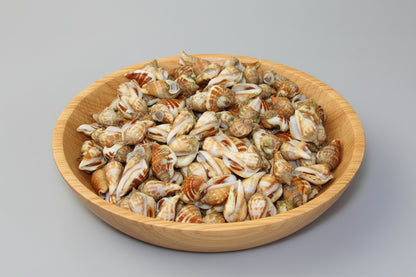 Ốc Nhảy | Frozen Whelk Snail