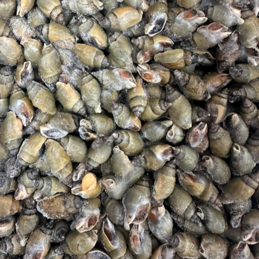 Ốc Cà Na | Cooked Whole Dog Whelk