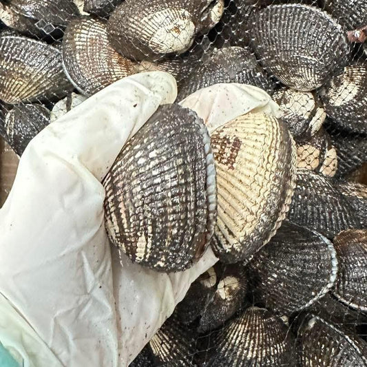 Sò Huyết | Blood Clams