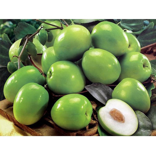 Táo Xanh Thái Lan | Thai Green Apples