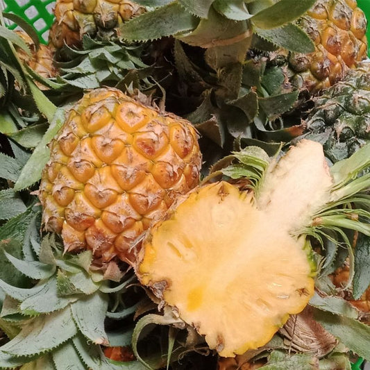 Thơm Thái Mini | Thai Mini Pineapple