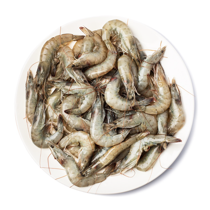 Tôm Trắng Có Đầu | Frozen White Shrimp with Head 10-20