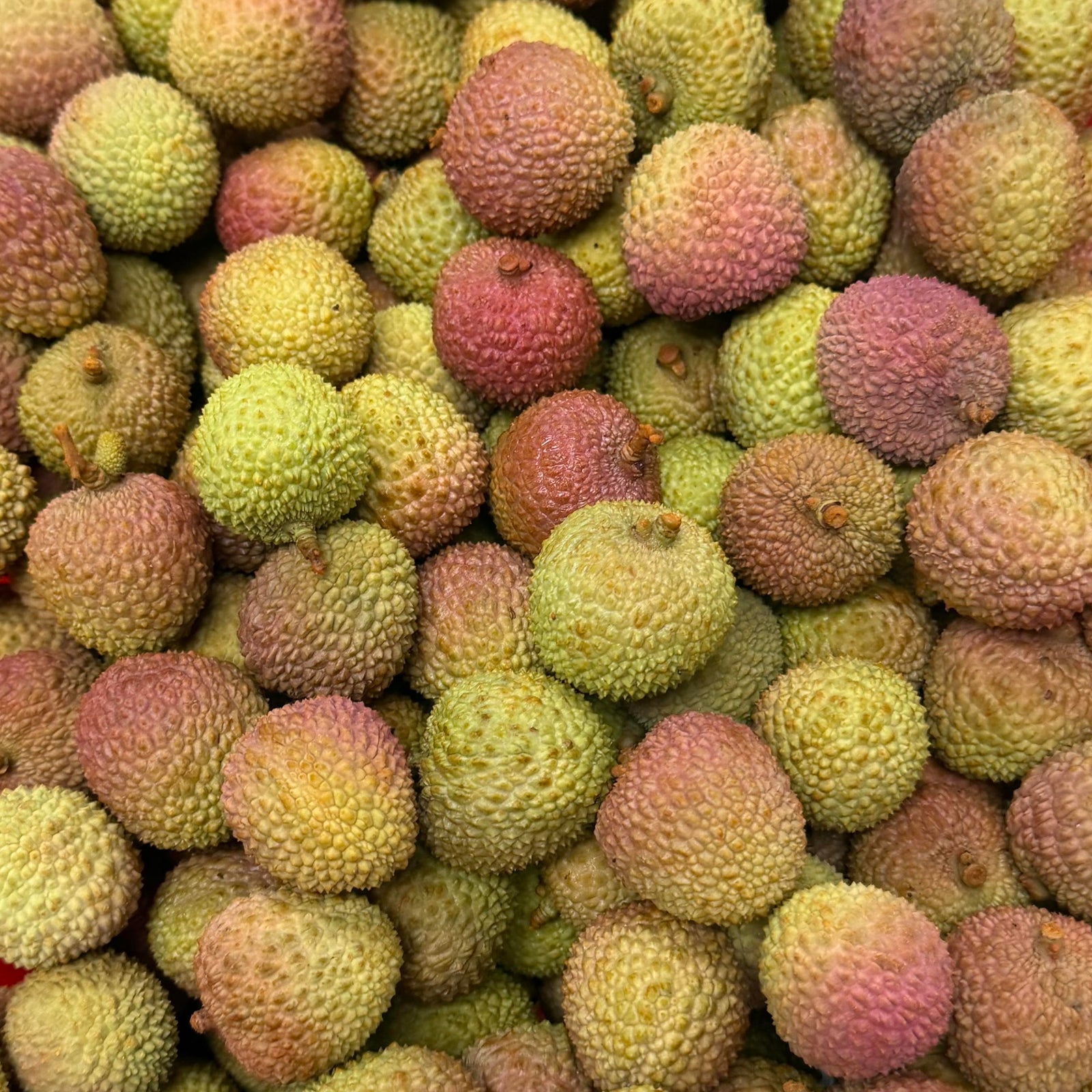 Vải Thiều | Fresh Lychee