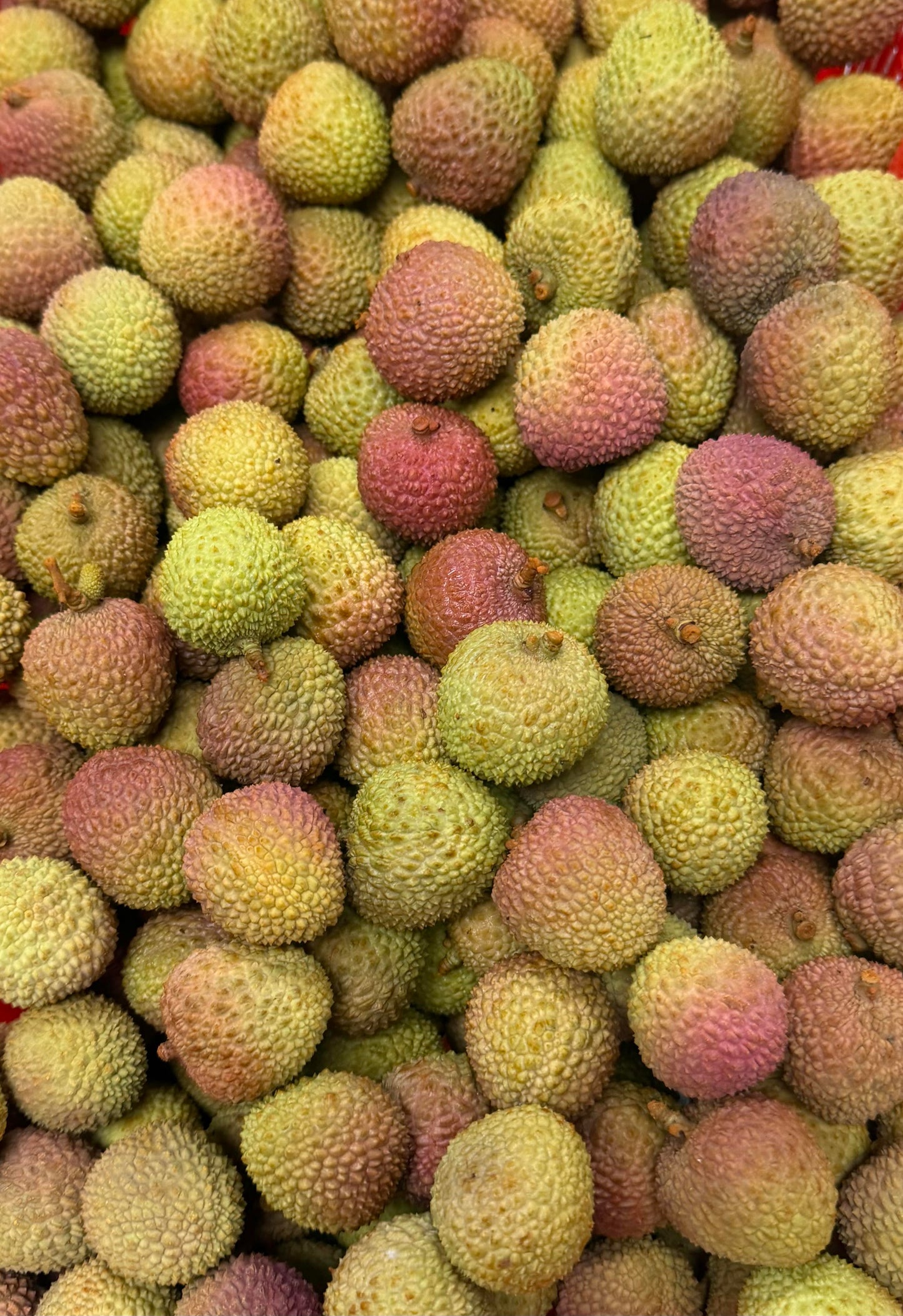 Vải Thiều | Fresh Lychee
