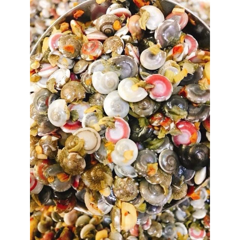 Ốc Ruốc | FZ Tiny Snails