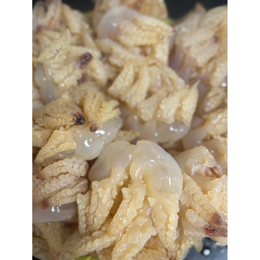 Sứa Chân Mèo | Jellyfish